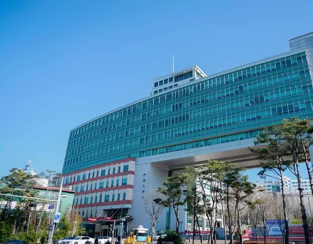 弘益大学